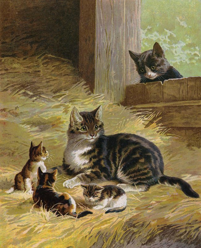 Katt med sina kattungar i en lada (chromolitho) av English School