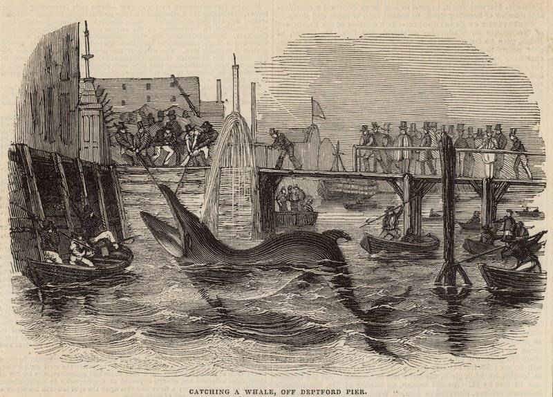 Fånga en val utanför Deptford Pier av English School