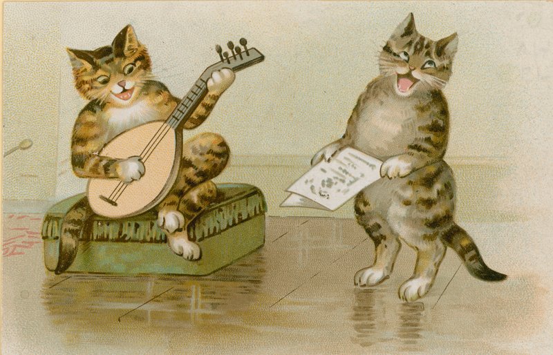 Katter som gör musik av English School