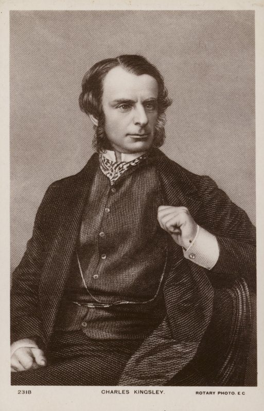 Charles Kingsley (1819-1875), engelsk präst, historiker och romanförfattare (litografi) av English School