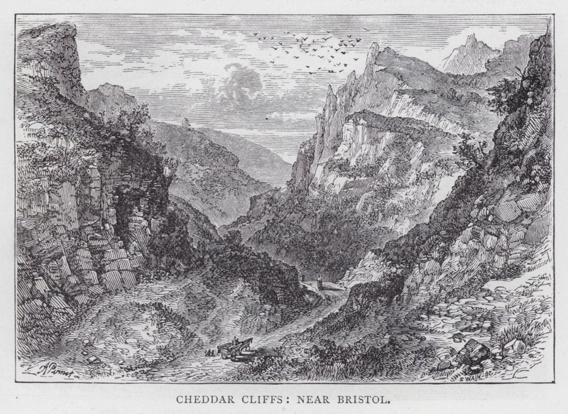 Cheddar Cliffs, nära Bristol (gravyr) av English School