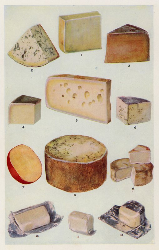 Cheddar; Gorgonzola; Double Gloster; Parmesan; Gruyere; Roquefort; Dutch; Stilton; Camembert; St Ives; Cream (färglitografi) av English School