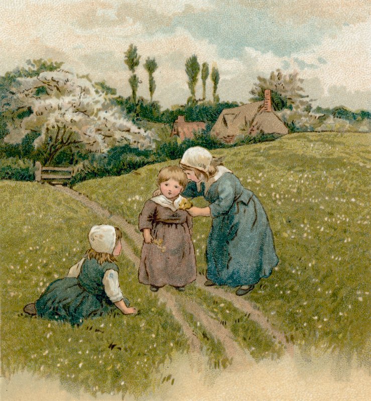 Pilgrimsfädernas barn av English School