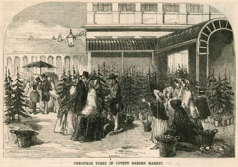 Julgranar i Covent Garden Market, London av English School