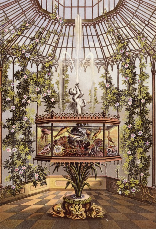Uterum och akvarium av English School