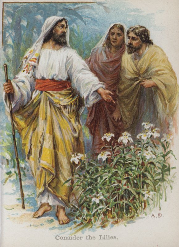 Tänk på liljorna (chromolitho) av English School