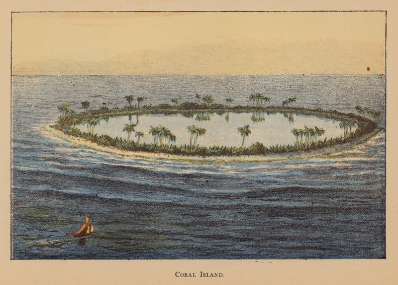 Coral Island (färglitografi) av English School