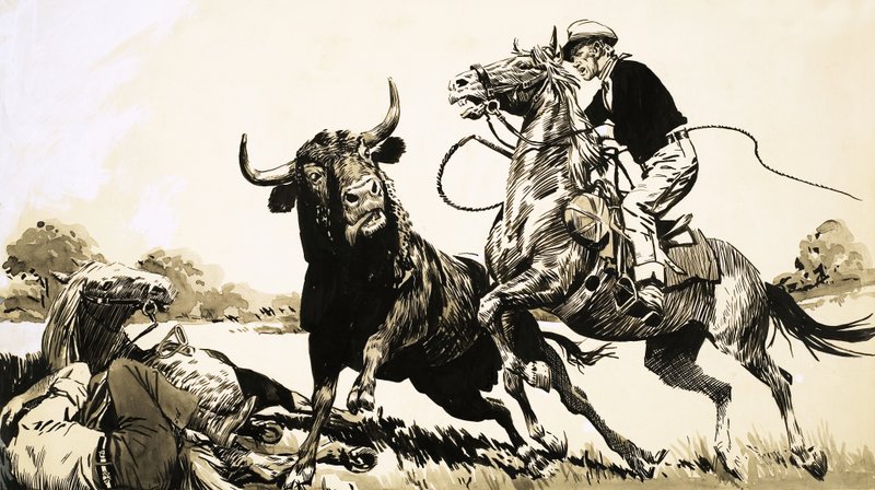 Cowboys i den australiska vildmarken försöker fånga en tjur av English School