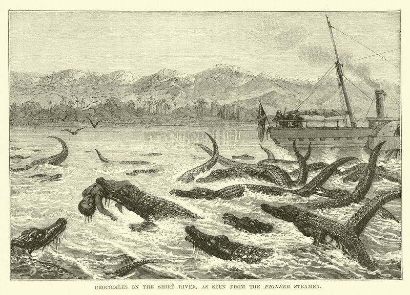 Krokodiler på Shire River, sett från Pioneer Steamer av English School