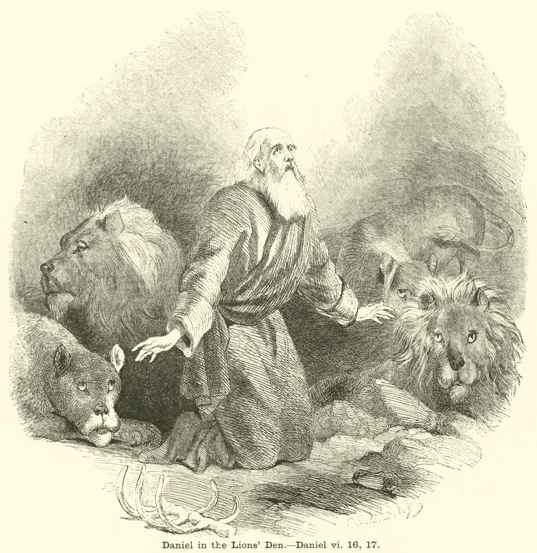 Daniel i lejonhålan, Daniel, vi, 16, 17 av English School
