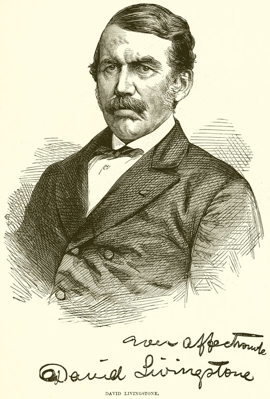 David Livingstone av English School