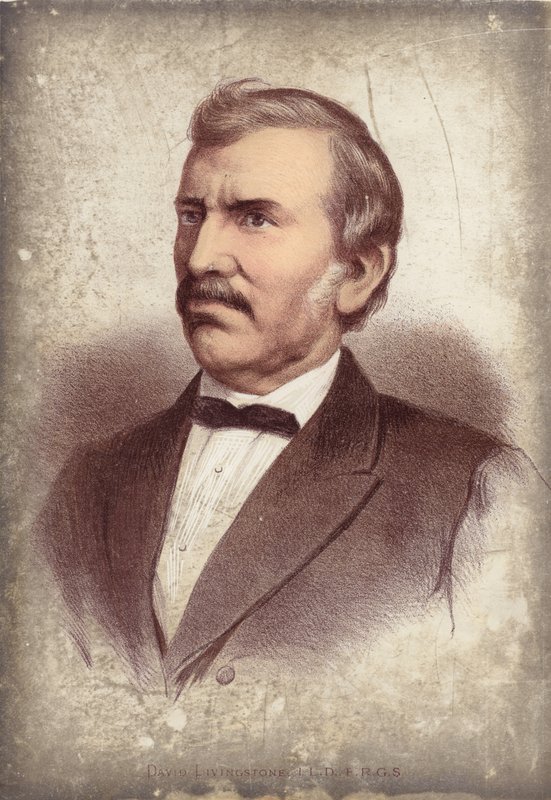 David Livingstone, upptäcktsresande av English School