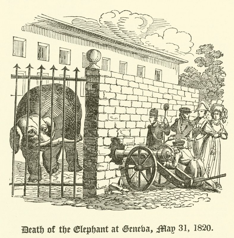 Elefantens död i Genève, 31 maj 1820 av English School