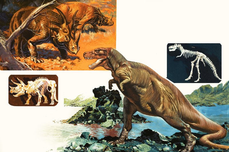 Dinosaurier och skelett. Stegosaurus och Tyrannosaurus av English School