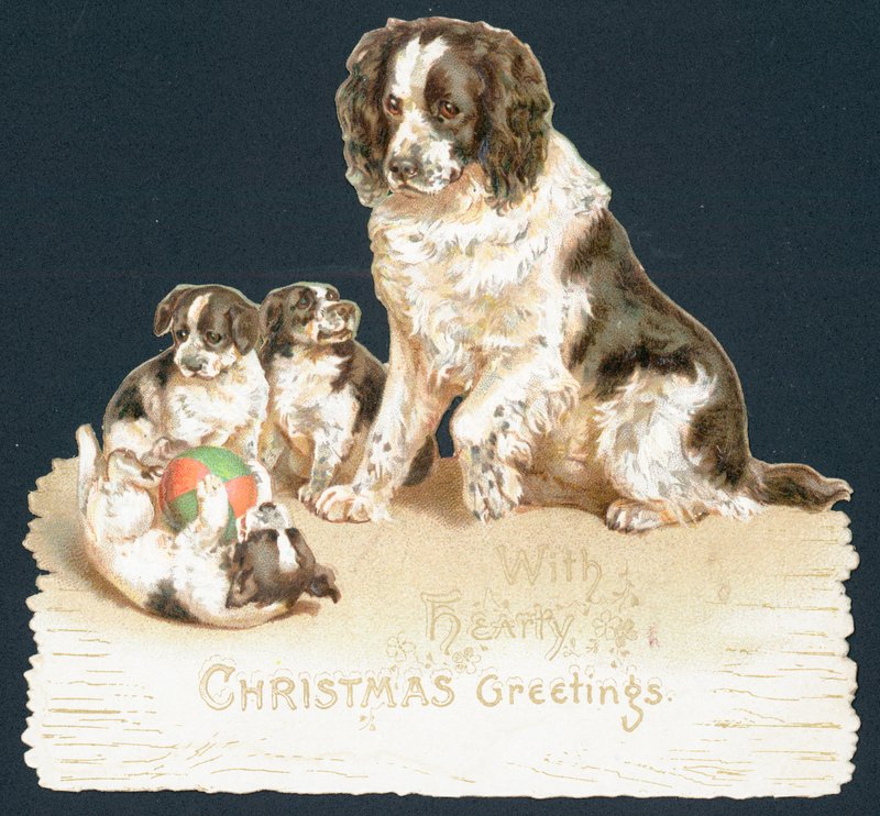 Hund och valpar, julkort av English School