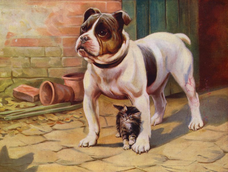 Hund och kattunge (färg litho) av English School