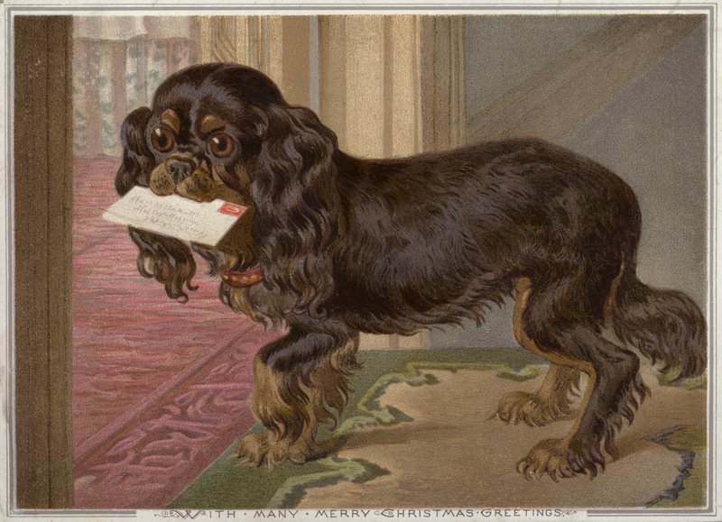 Hund som bär en bokstav i munnen (chromolitho) av English School