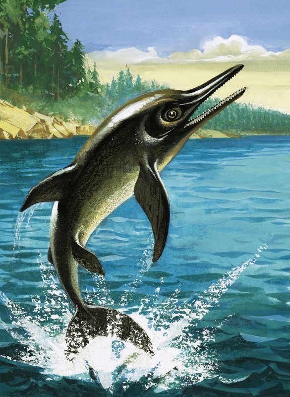 Delfin av English School