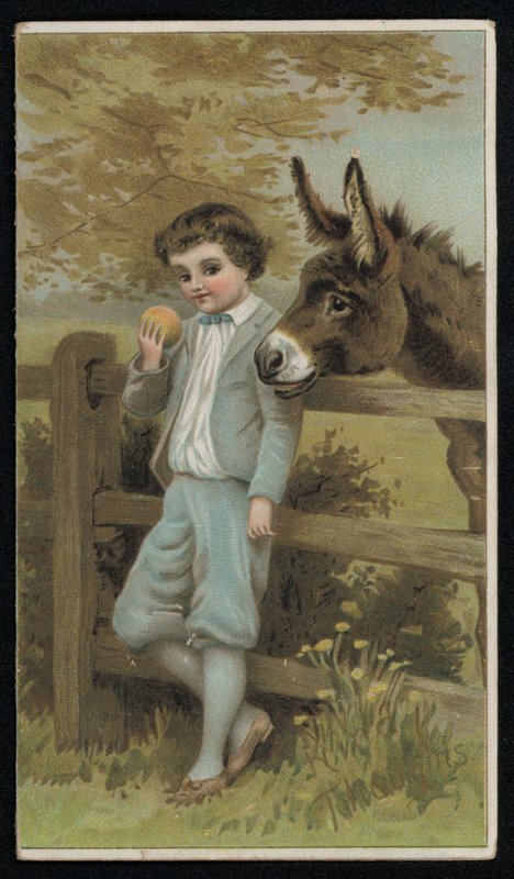 Åsnan tittar på en pojke med ett äpple, gratulationskort. (chromolitho) av English School
