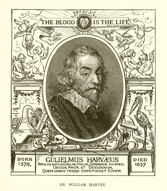 Dr William Harvey av English School
