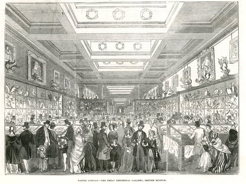 Annandag påsk - Great Zoological Gallery, British Museum av English School