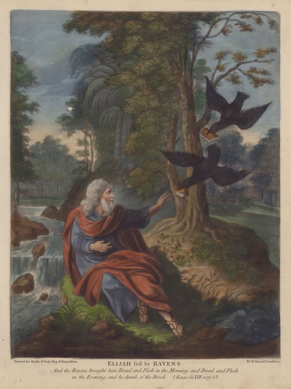 Elia matad av Ravens (färg litho) av English School