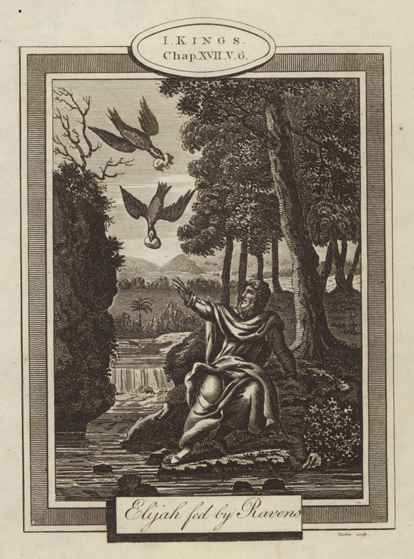Elia matad av Ravens, I Kings, Kapitel XVII, Vers 6 (gravyr) av English School