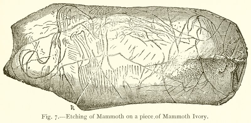 Etsning av Mammoth på en Piece of Mammoth Elfenben av English School