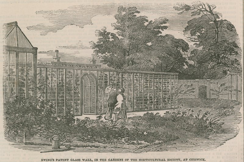 Ewings Patent Glass Wall, i trädgårdarna hos Horticultural Society i Chiswick av English School