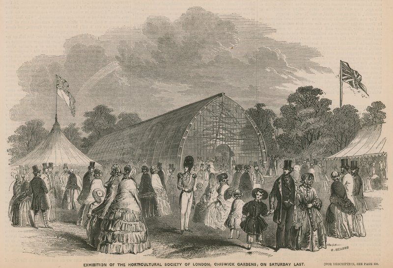 Utställning av Horticultural Society of London, Chiswick Gardens av English School