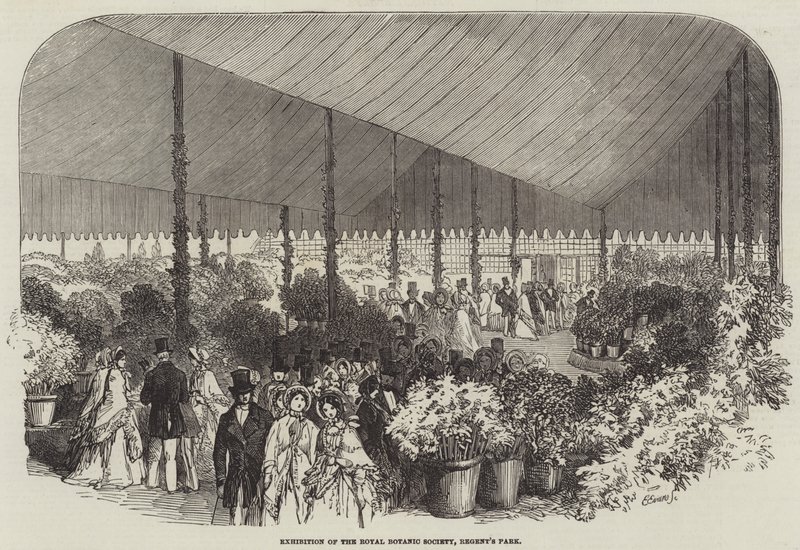 Utställning av Royal Botanic Society, Regent