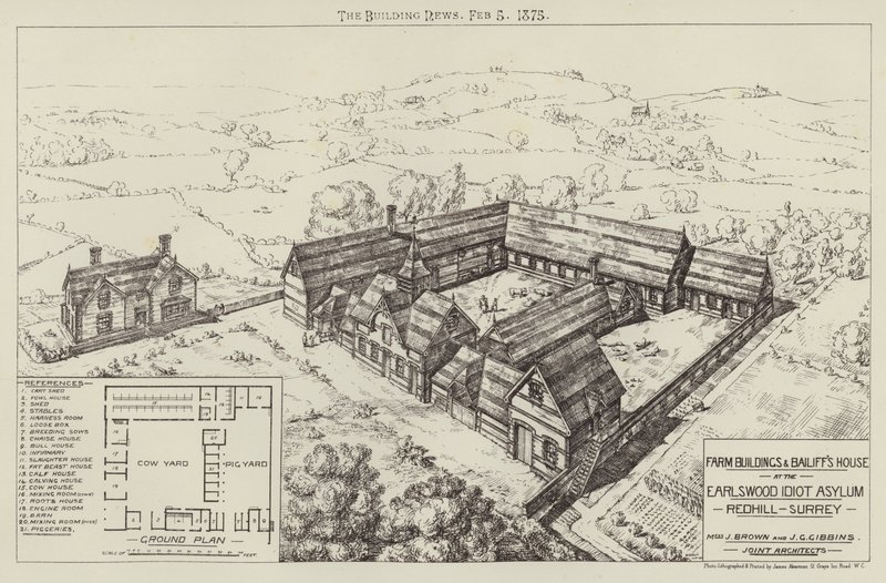 Gårdsbyggnader och fogdens hus på Earlswood Idiot Asylum, Redhill, Surrey (gravyr) av English School