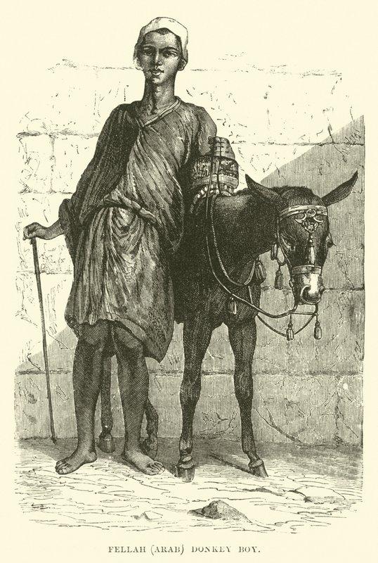Fellah, arab; åsnepojke av English School