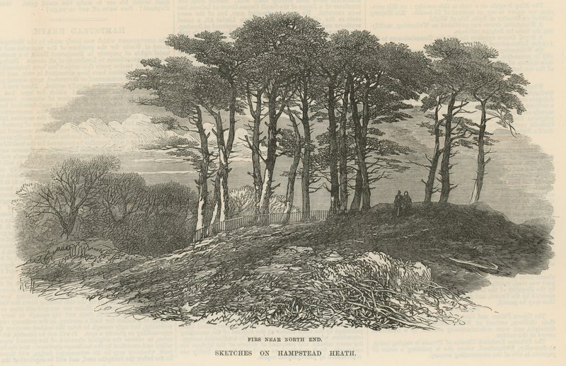Granar nära norra änden, Hampstead Heath av English School