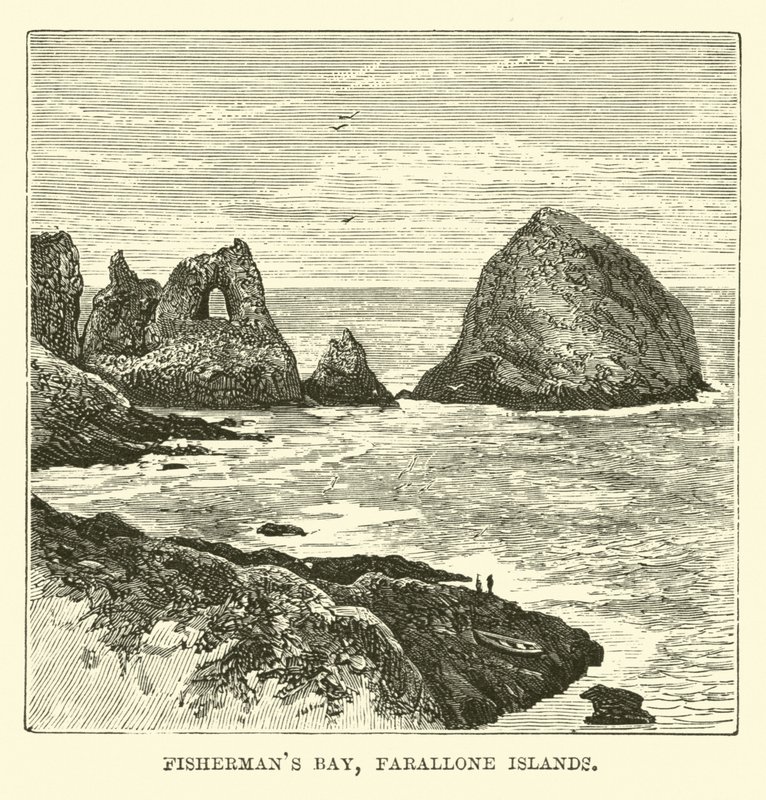 Fishermans Bay, Farallonöarna av English School