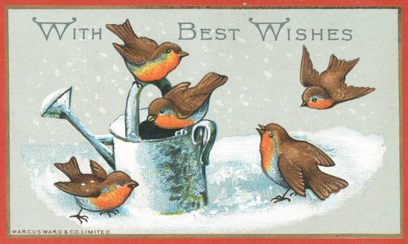 Fem Robins och vattenkanna, julkort av English School