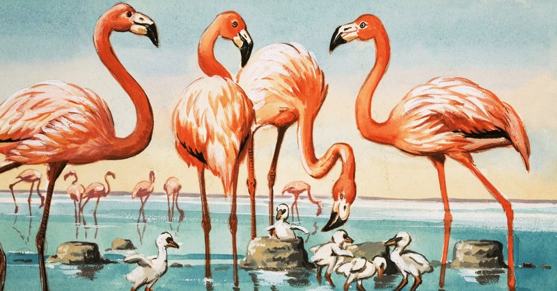 Flamingos av English School