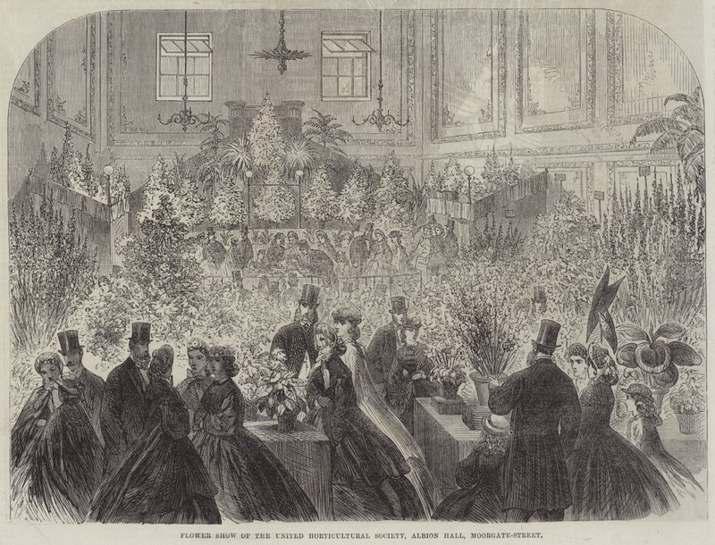 Flower Show of the United Horticultural Society, Albion Hall, Moorgate-Street (gravyr) av English School
