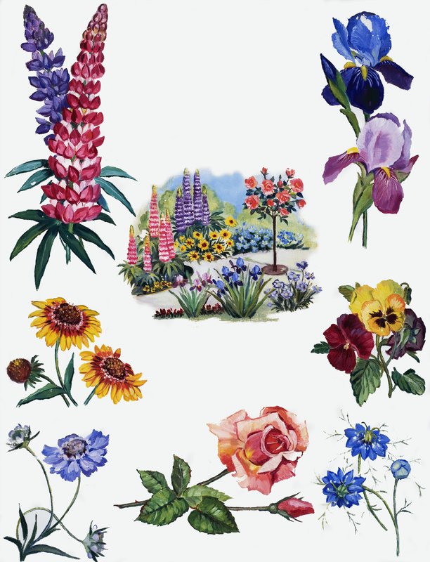 Blommor av English School