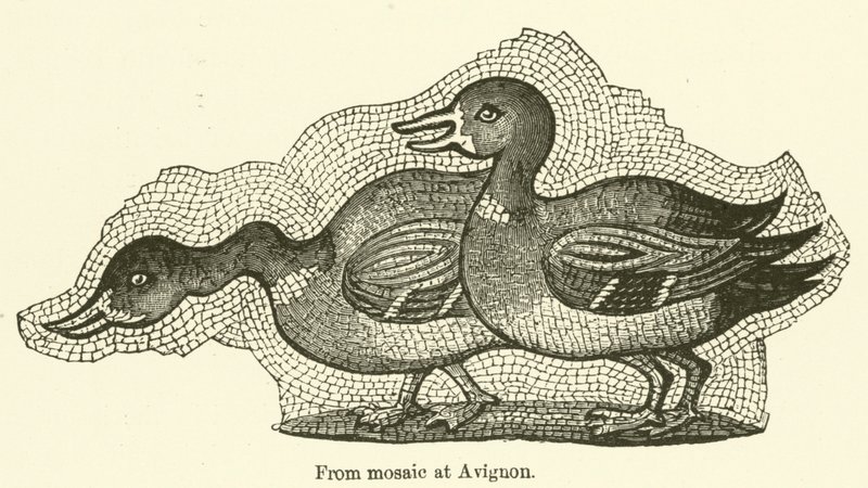 Från mosaik i Avignon (gravyr) av English School