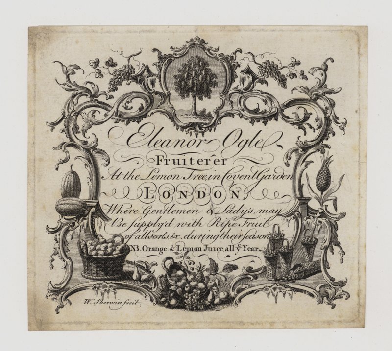 Fruiterer, Eleanor Ogle, byteskort av English School