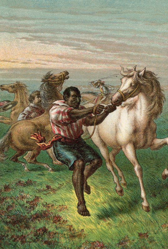 Garibaldis soldater bryter vilda hästar av English School