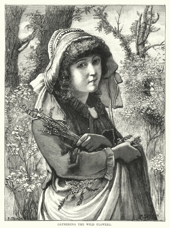 Att plocka de vilda blommorna (gravyr) av English School