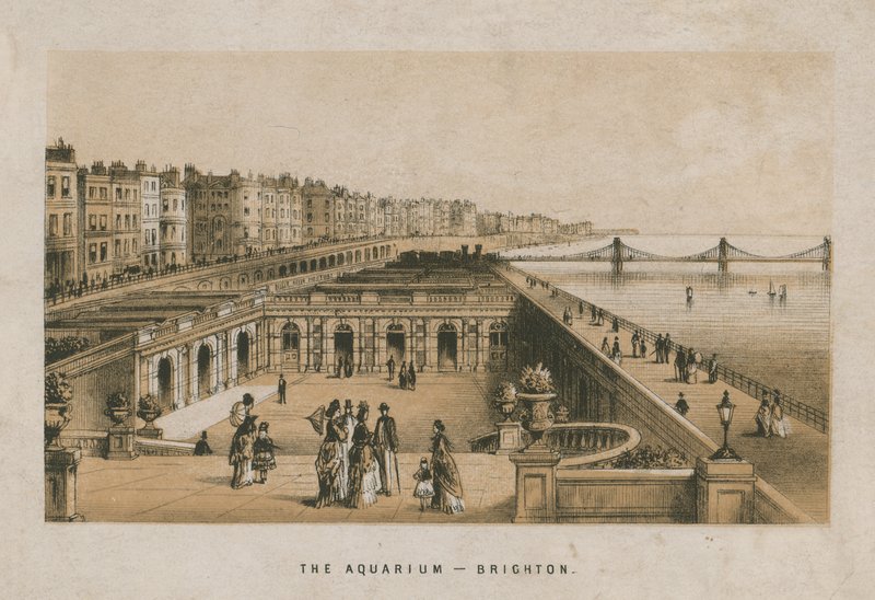 Allmän bild av akvariet i Brighton av English School