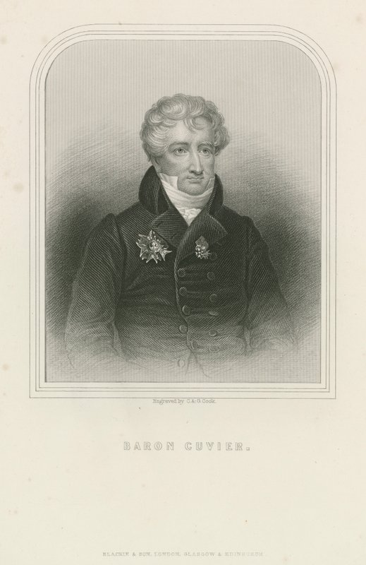 Georges Cuvier, fransk naturforskare och zoolog (gravyr) av English School