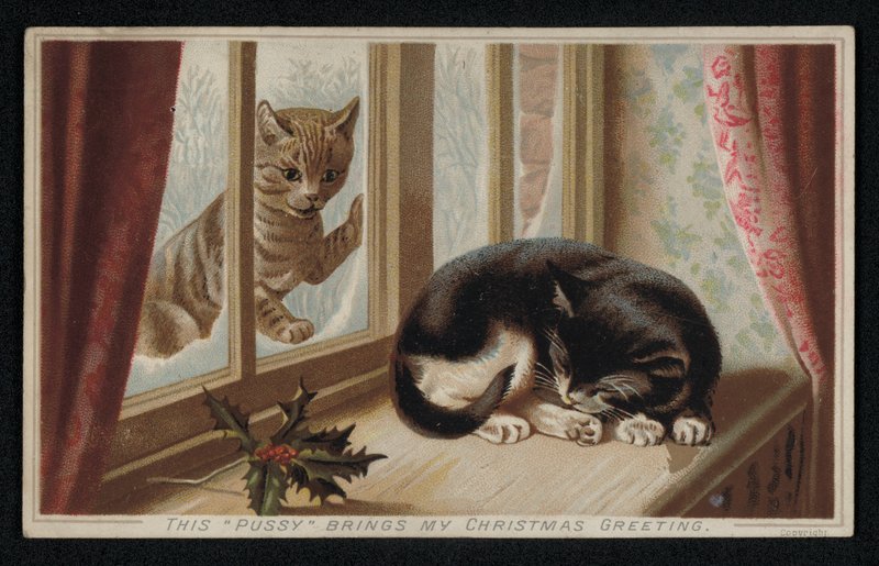 Ingefärskatt tittar genom ett fönster på en annan sovande katt, julhälsningskort (chromolitho) av English School