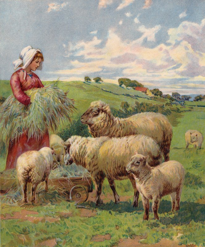 Flicka som matar får (färglitografi) av English School