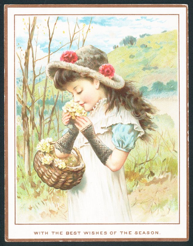 Flicka som luktar blommor från korg, julkort av English School