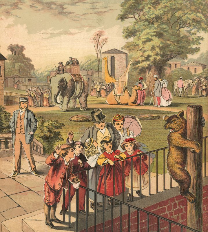 Går till djurparken av English School