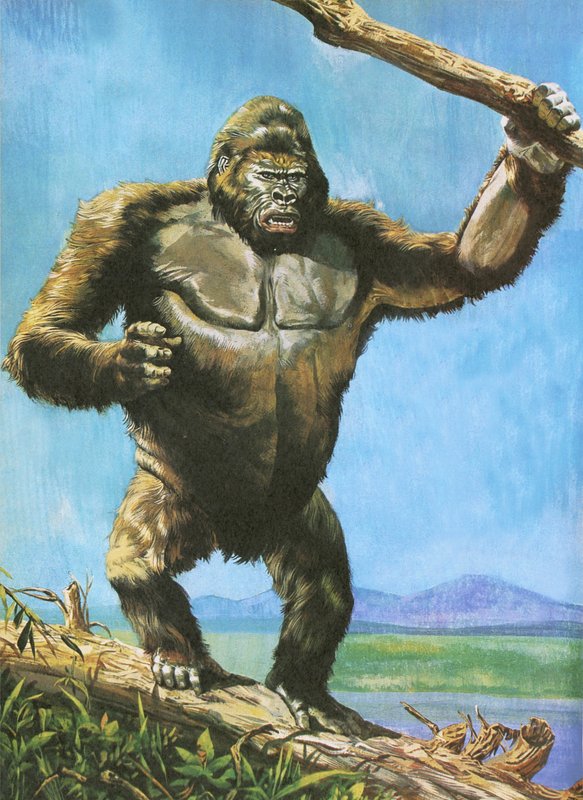 Gorillaswed av English School
